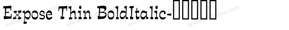 Expose Thin BoldItalic字体转换